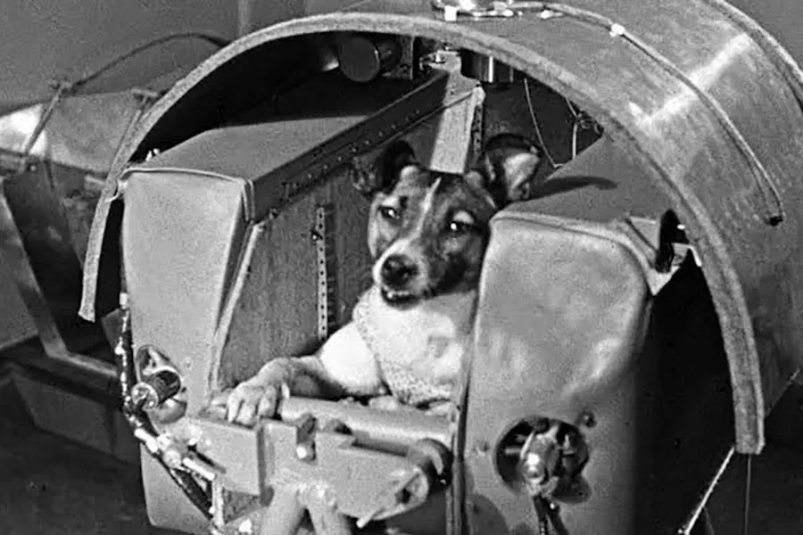 Laika en el Espacio. Explorando los Límites de la Ciencia