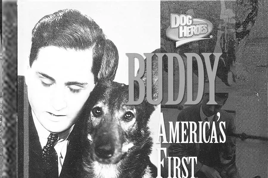 Buddy La Historia de un Compañero Canino Inolvidable