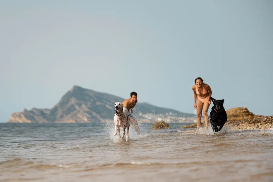 Principales playas para perros en España