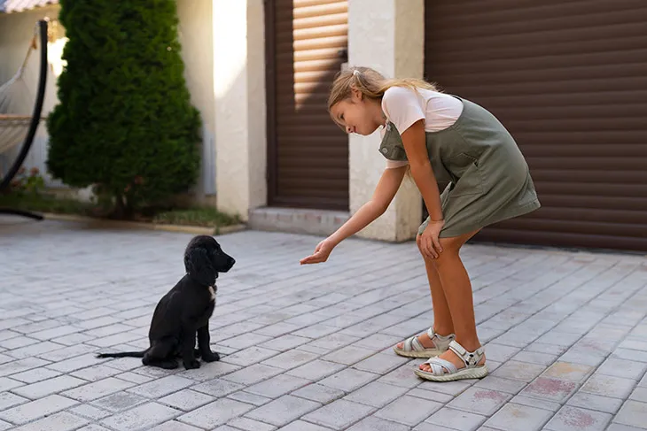 Cómo entrenar a un perro: Los pasos básicos de la educación canina