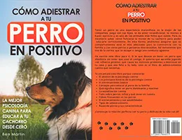 Cómo-Adiestrar-a-tu-Perro-en-Positivo-por-Ben-Martin