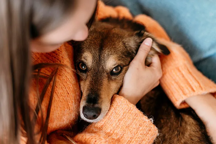 ¿Por qué mi perro tiembla?