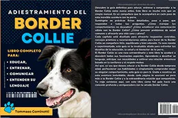 Adiestramiento-del-BORDER-COLLIE-de-Tommaso-Cominotti