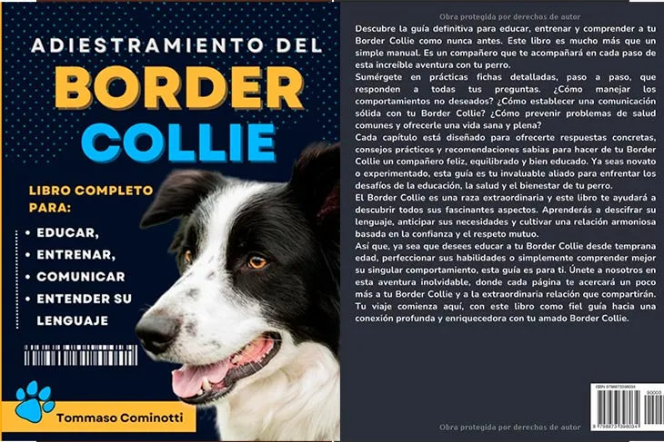 Adiestramiento del BORDER COLLIE de Tommaso Cominotti