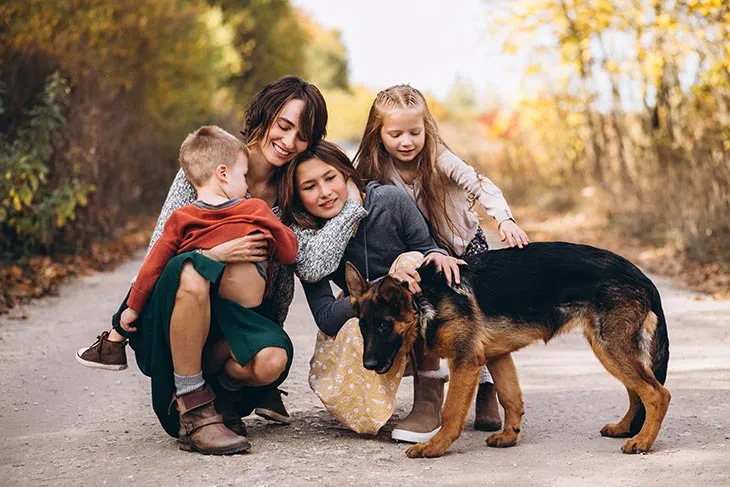 Adopción de Perros en Lleida | Guía para la Adopción