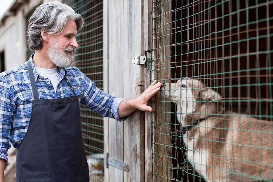 ¿Dónde puedo adoptar un perro? Las mejores opciones para encontrar tu nuevo amigo peludo