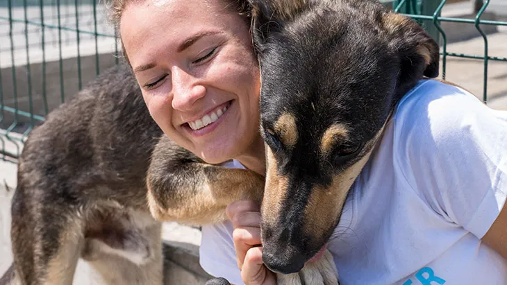 Adoptar un Perro en Cuenca | Guía Completa para Adopción