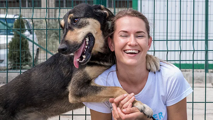 Adoptar Perro en A Coruña | Guía Completa