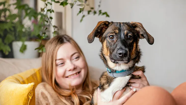 Adoptar Perro en Galicia | Guía Completa