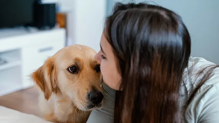 Adoptar un Perro en Málaga | Guía Completa