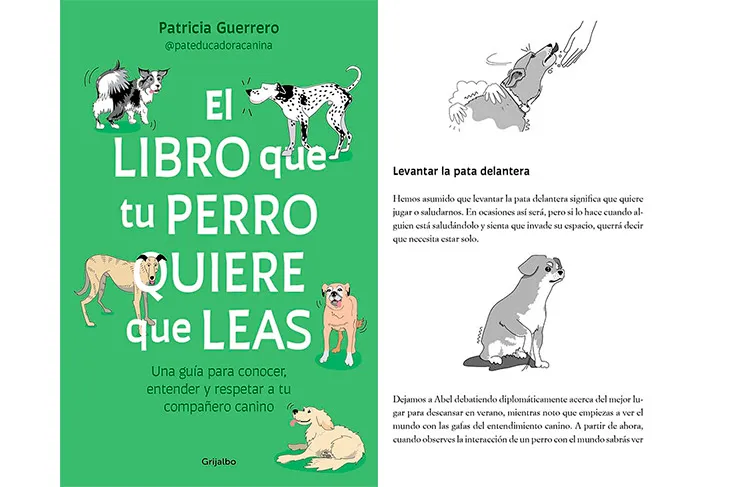 El libro que tu perro quiere que leas: Una guía para conocer, entender y respetar a tu compañero canino