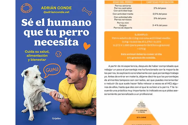 Sé el humano que tu perro necesita. Cuida su salud, alimentación y bienestar