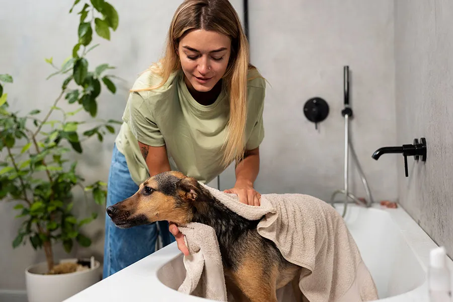 Cómo Bañar a un Perro Correctamente: Guía de Cuidado Canino