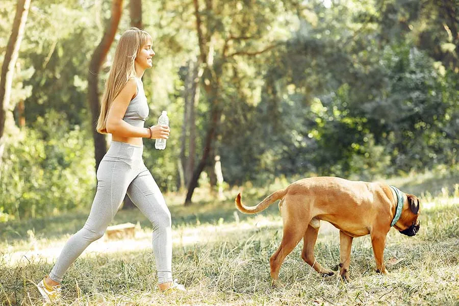 ¿Cuánto Ejercicio Necesita Mi Perro? Guía de Actividad Canina