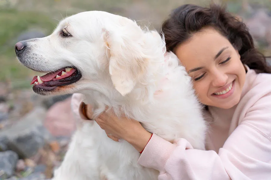 ¿Los Perros Entienden a los Humanos? La Inteligencia Canina en la Comunicación