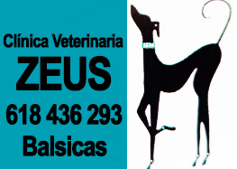 veterinaria de Balsicas, colaboradora con Yundog en San Javier